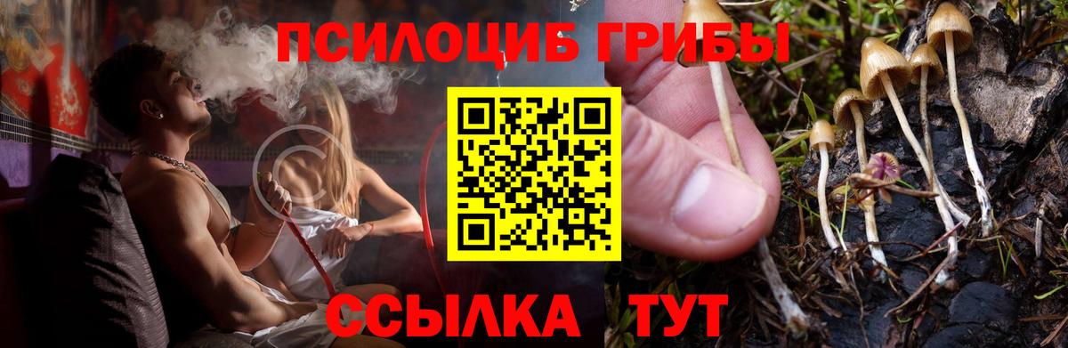 Псилоцибиновые грибы GOLDEN TEACHER Карабулак