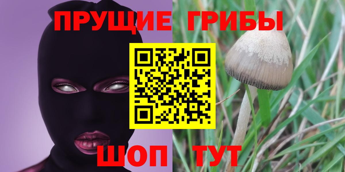 Псилоцибиновые грибы GOLDEN TEACHER  Вход с VPN  даркнет сайт  Карабулак 